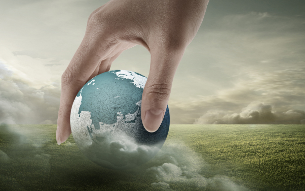 新昌m88官网进出口有限公司